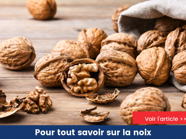 Les noix
